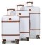 Комплект чемоданов Worldline 629 белый Airtex (Франция)