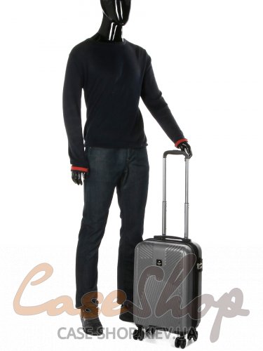 Комплект чемоданов 7346 серый Airtex (Франция)