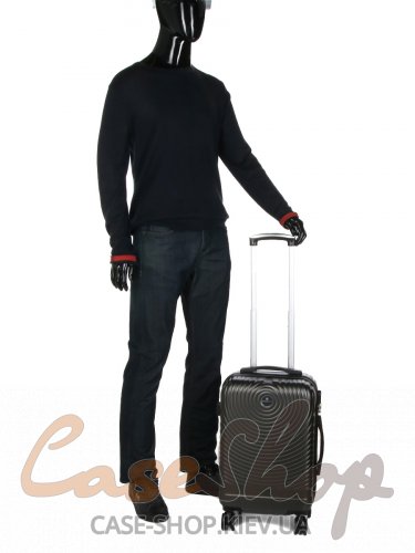 Комплект чемоданов Worldline 652 серый Airtex (Франция)